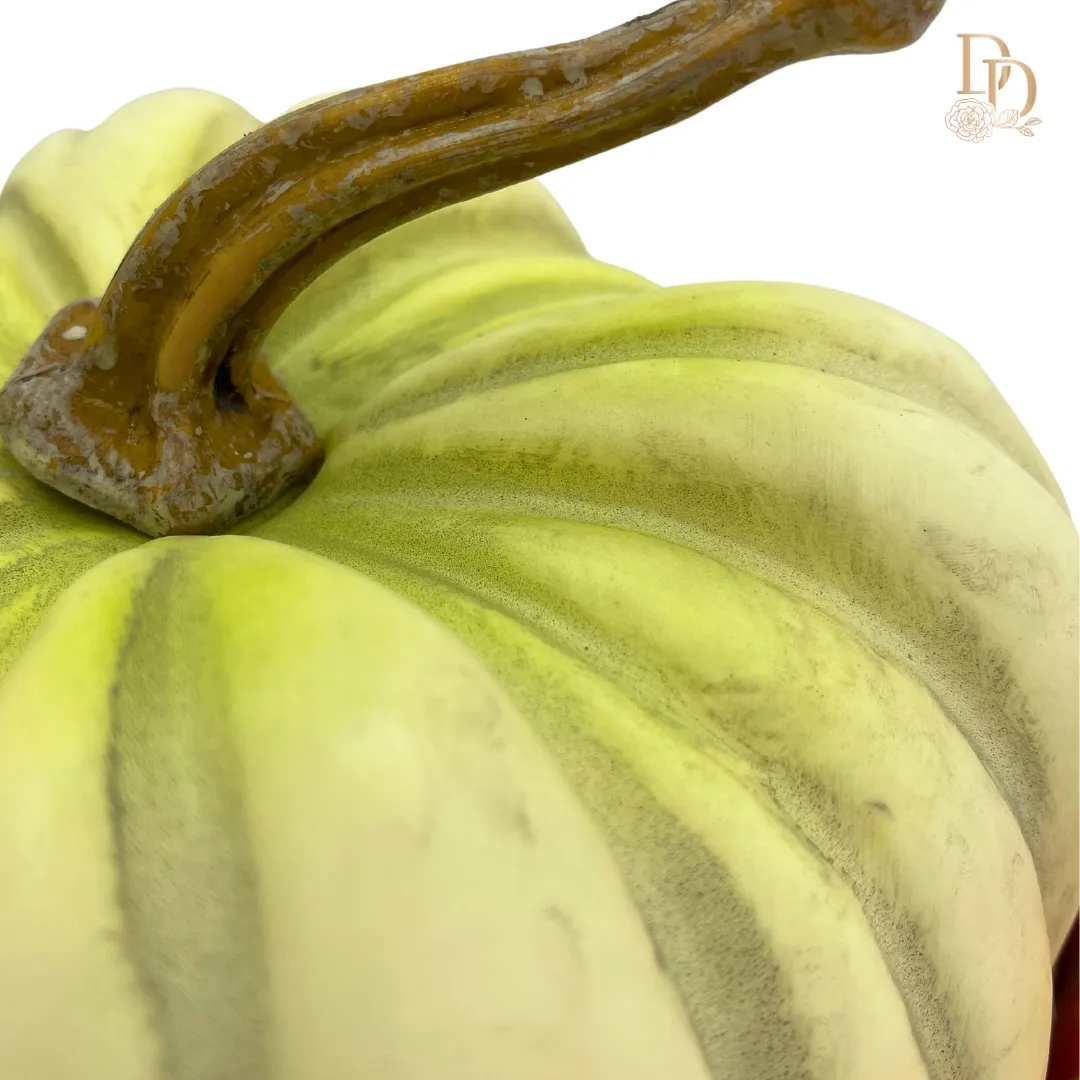 15.5" Cream & Brown Hybrid Gourd Pumpkin