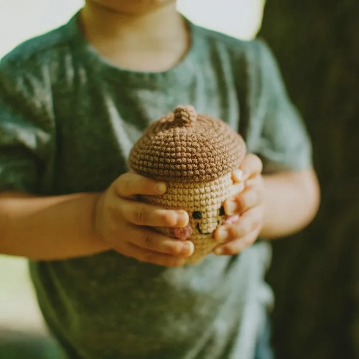 Friendly Acorn Rattle