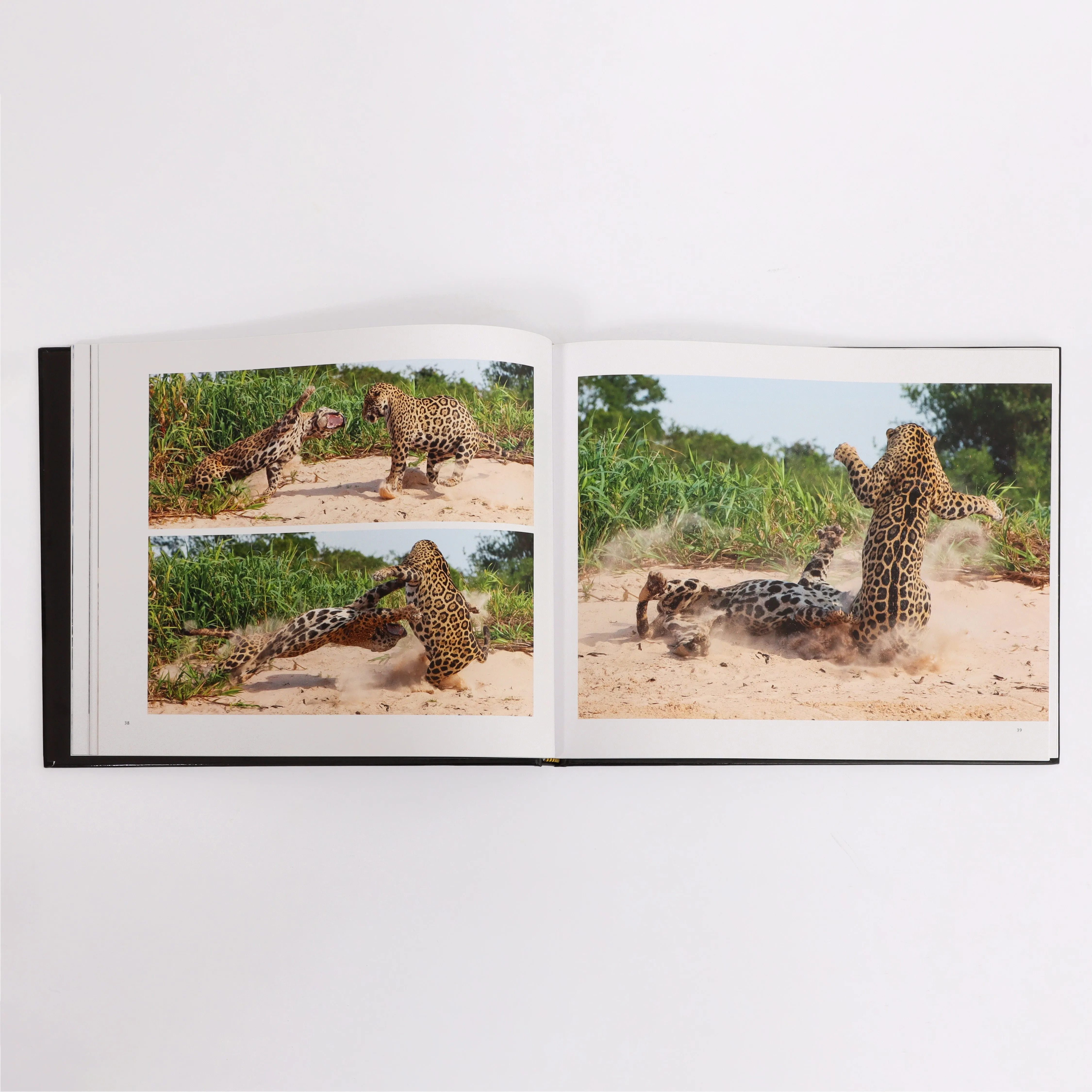 Latitude photography book by Roger Hooper